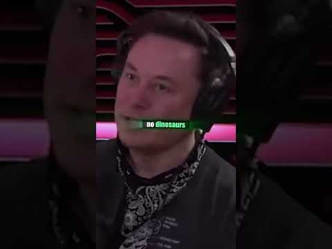 Elon Musk & Joe Rogan on Evolution's Winners: How Crocodiles Outlived Dinosaurs