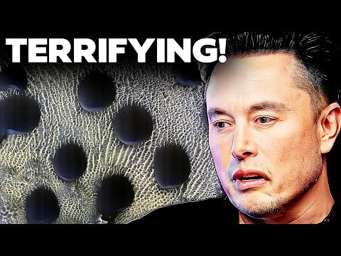 Elon Musk Just LEAKED NASA’s Recent Discovery On Mars That Defies All Logic!