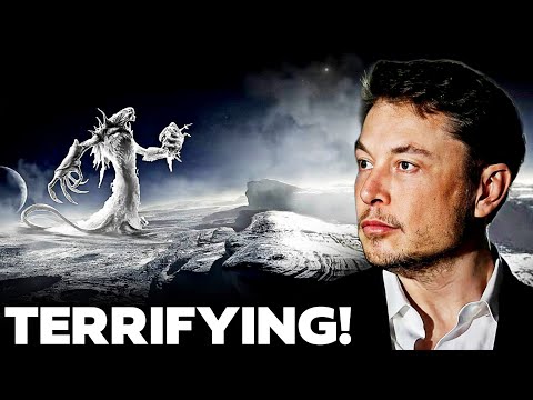 Elon Musk Just EXPOSED JWST’s FIRST Images Of The Dark Side Of Pluto