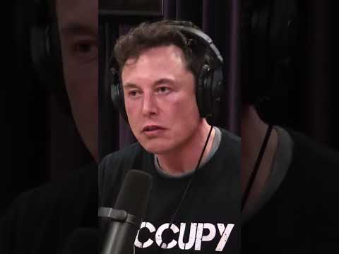 Elon Musk on AI Evolution  | JRE