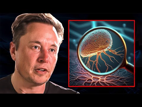 Elon Musk Just Revealed The Shocking New Truth About Cancer