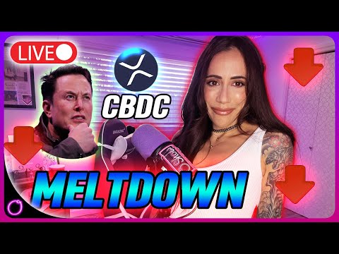 🤯💥ELON MUSKS MARKET MELTDOWN (XRP IS THE US CBDC)