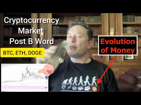 Elon Musk T – shirt is Bitcoin Evolution, Cryptocurrency Market after B Word Event, Bitcoin ETC DOGE