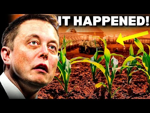 NASA Just SUCCESSFULLY Produced Oxygen On Mars That Shocks Elon Musk!