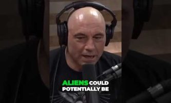 The Mind-Blowing Connection Between Aliens and Our Future Evolution #elonmusk #joerogan #aliens ￼