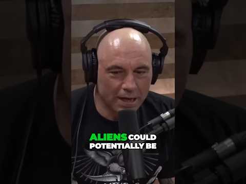 The Mind-Blowing Connection Between Aliens and Our Future Evolution #elonmusk #joerogan #aliens ￼