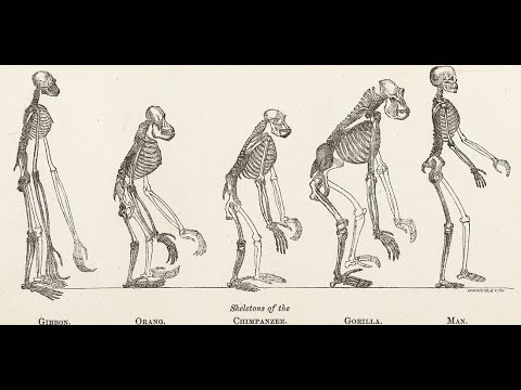 "Learning" About Human Evolution at DiscoveryU