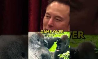 Elon Musk Evolution #elonmusk #joerogan #shorts