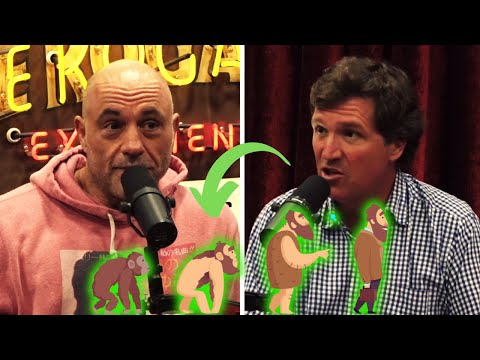 Tucker Carlson DESTROYS Joe Rogan on EVOLUTION: Here is WHY HE IS RIGHT