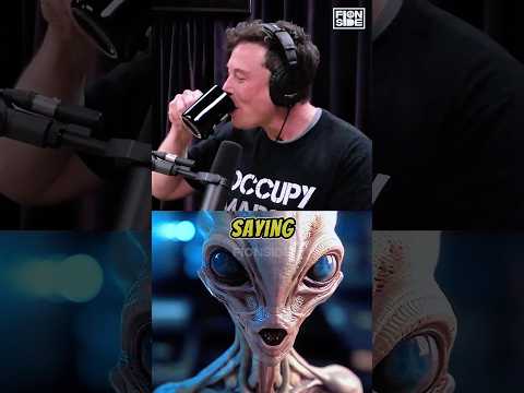 "I am an alien" – Elon Musk and Joe Rogan