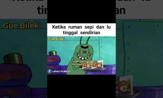 Meme internet lucu #shorts #memeindonesia #meme #memefb  #memesdaily #funny #funnyvideo #memerandom