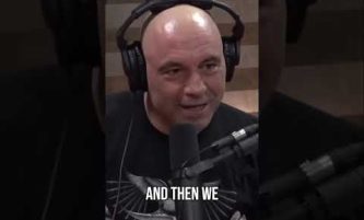 Joe Rogan And Elon Musk: The Evolutions Of Humans #joerogan #thejoeroganexperience #elonmusk #human