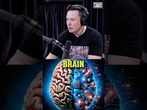 "It's similar to the human brain" – Elon Musk and Joe Rogan