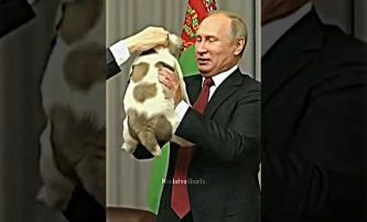 Great Leaders Always Love Animals #respect #putin #modi #sigma